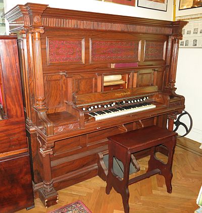 Player Organ