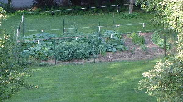 My Garden